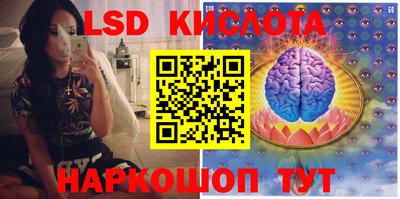 PSILOCYBIN Тула