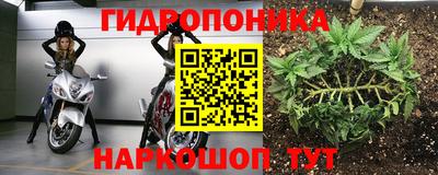 ALPHA PVP Тулун