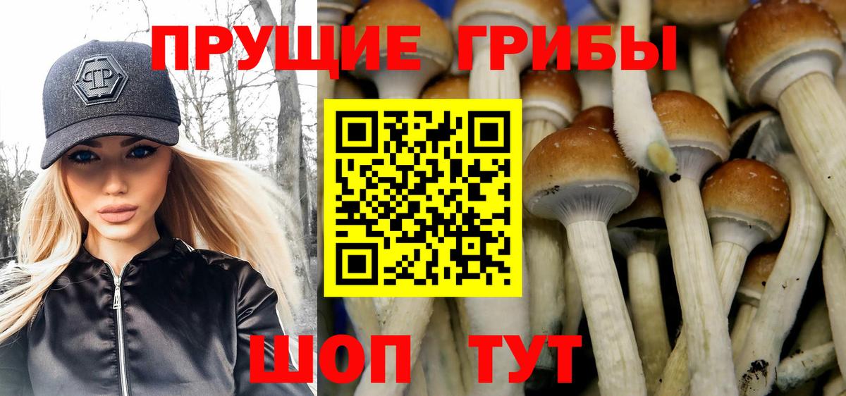 Псилоцибиновые грибы мухоморы Карпинск